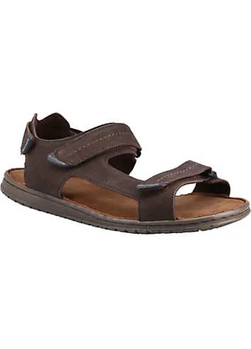 Brown Neville Quarter Strap Sandals by Hush Puppies | Look Again