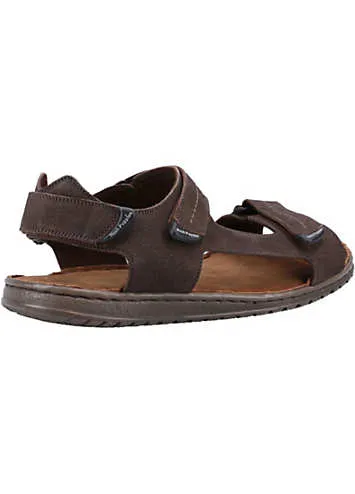 Brown Neville Quarter Strap Sandals by Hush Puppies | Look Again