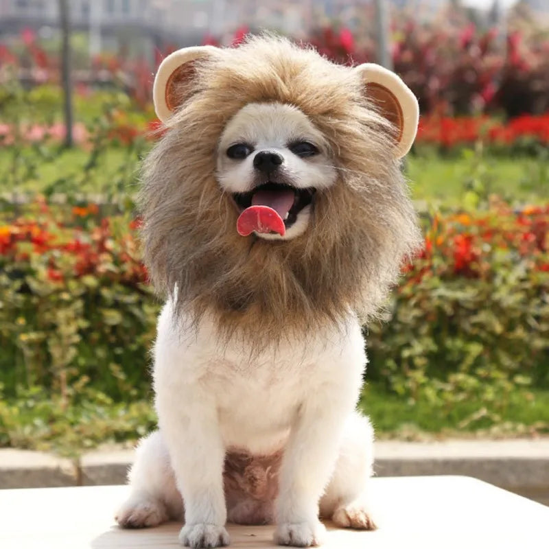 Halloween Pet Dog Lion Mane Wig Hair Christmas Dog Wig Hair Costume Fancy Party Dress Cosplay Funny Hat Cap Pet Dress up